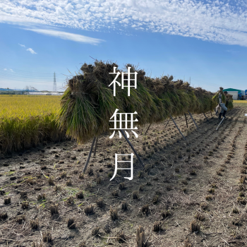 10月の営業日について